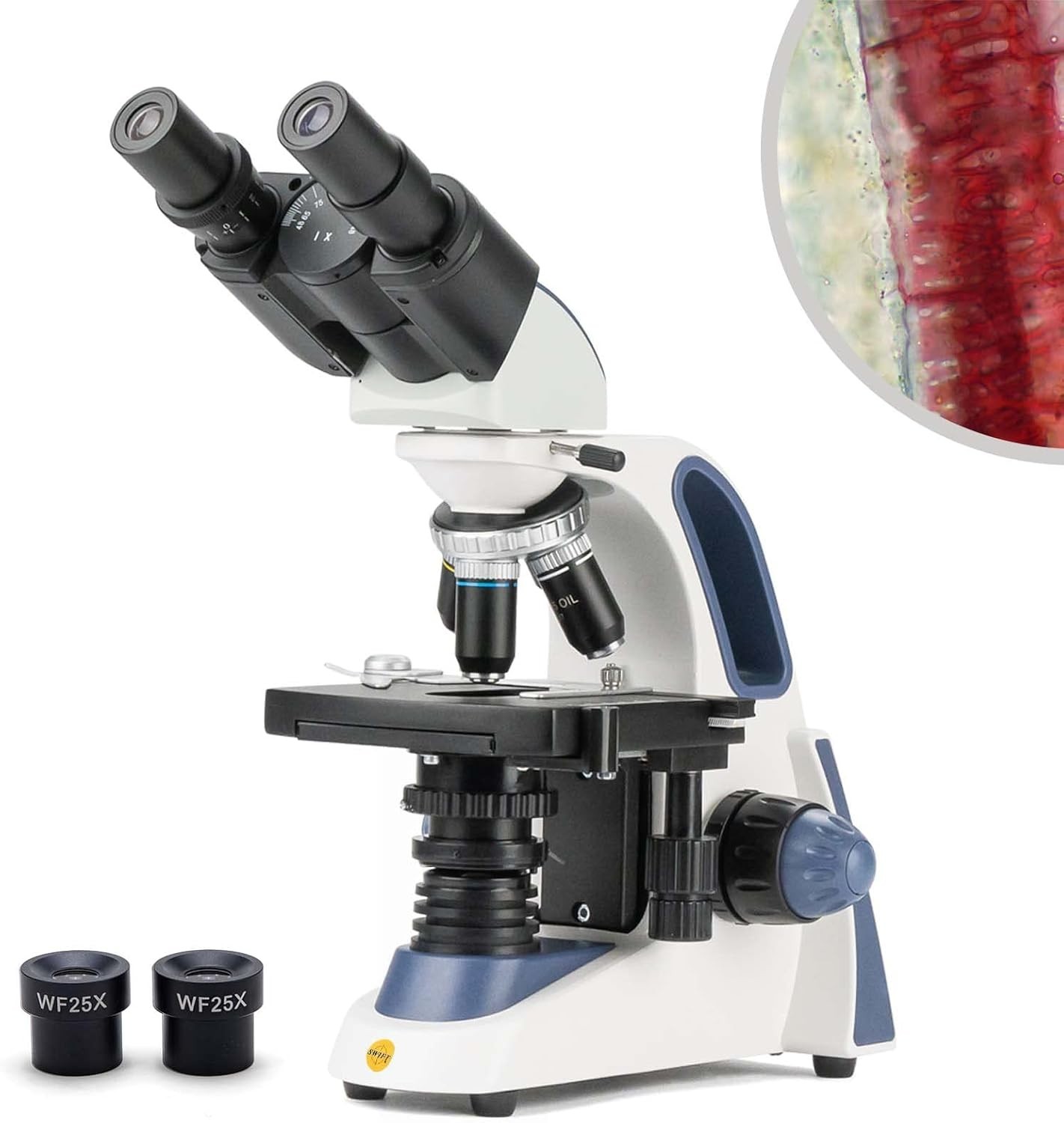 SW380B Professional Binocular Compound Microscope,40X-2500X,Siedentopf Head,Bri