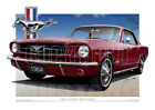 <!--F#f_0-->1964 Mustang Car Drawings - Classic Mustang Coupe Print (17 Colours )<!--F/-->