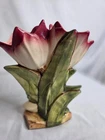 Antique Early Original McCoy Double Tulip Crocus Art Pottery Vase White Pink USA