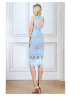 BRONX & BANCO SIENNA LACE PANEL SHEATH DRESS sz 12 UK / US 8 | eBay