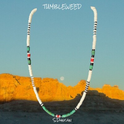Native American Buffalo Bone Heishi Necklace