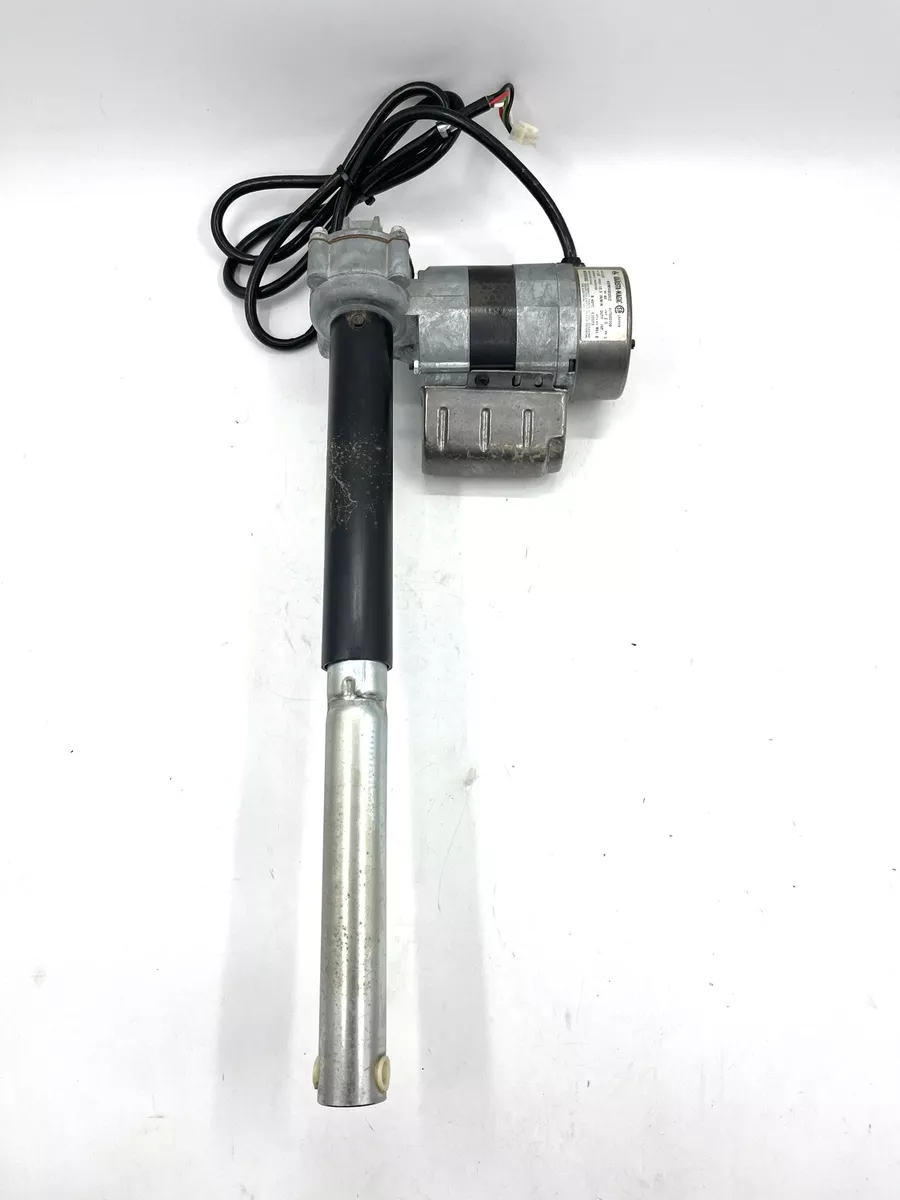 Adjusta magic 2024