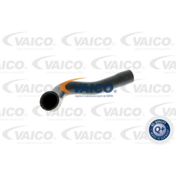 Vaico KüHlerschlauch KüHlleitung Unten FüR BMW 3Er Cabriolet V20-0148-image