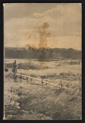 Decoys at Shelburne Museum by Webster, David S. & Kehoe, William