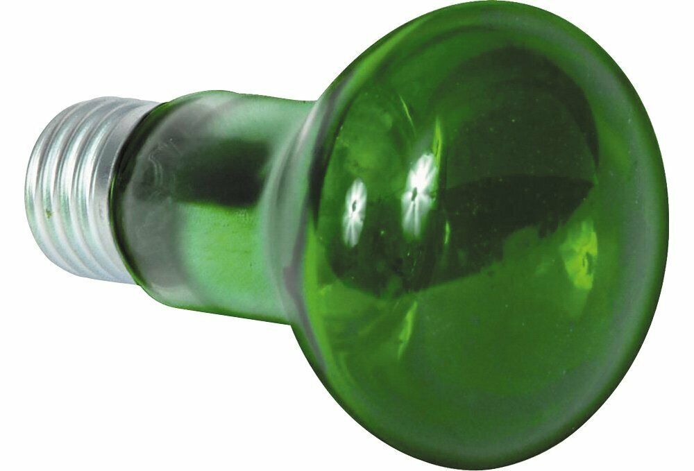 Eliminator EL-141 Green Replacement Octobar Cheap Cheap bargain Bulb