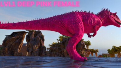 Ark Survival Ascended PVE SOLID DEEP PINK LVL1 FEMALE CARCH (CLONE) XBOX/PC/PS5