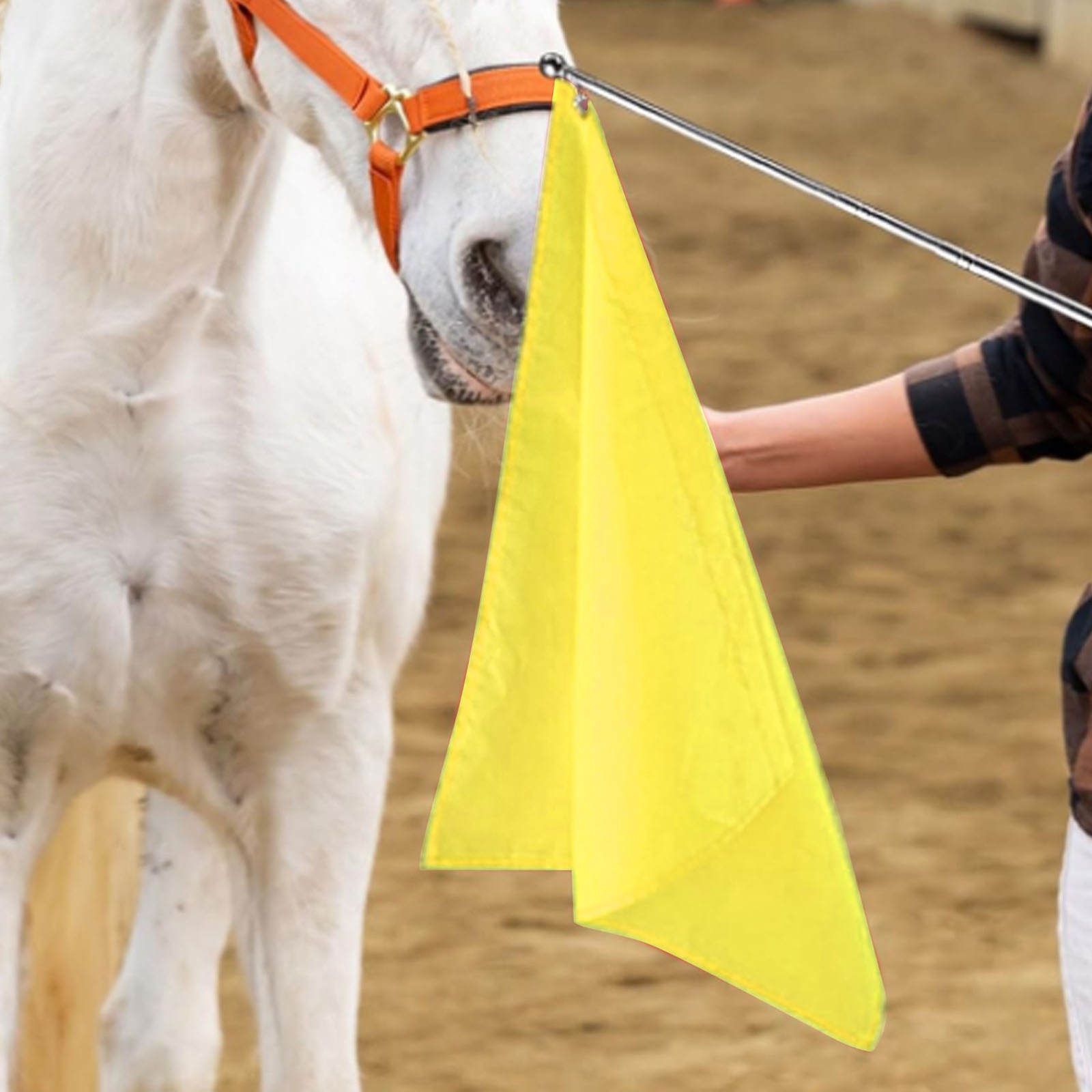 »Equestrian Flags Tear Resistant Horse Training Flag For Activity Entertainment