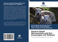 Juan Augusto HernáNdez-Rivera (U. A.) | Socorro Island Merinoschafe Und Ihre...