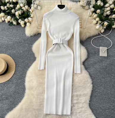 Women Dresses Sexy Turtleneck Knitted Dress Long Sleeve Sweater Slim Long  Dress | eBay