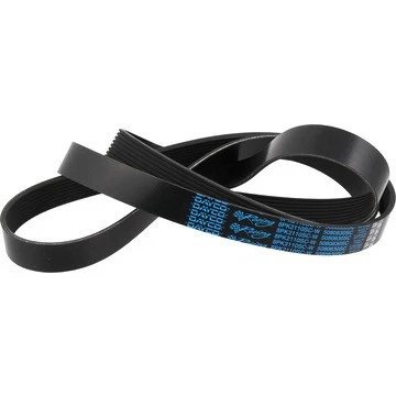 Dayco Llc 5080830SC, один черный резиновый супер зарядное устройство ремень Zl1 Camaro подходит 17-20 - Изображение 2 из 4