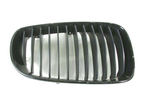 51137166440 Verkleidung Gitter Niere Stoßstange Vorne Rechte Seite BMW Serie 1 1