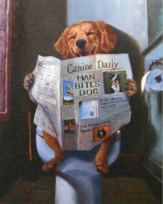 DOG GONE FUNNY GOLDEN RETRIEVER READING NEWSPAPER High Resolution GIC-H1118-2016