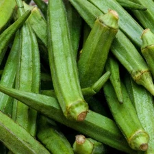 Perkins Long Pod Okra Seeds, NON-GMO, Spineless, Large Okra, FREE SHIPPING