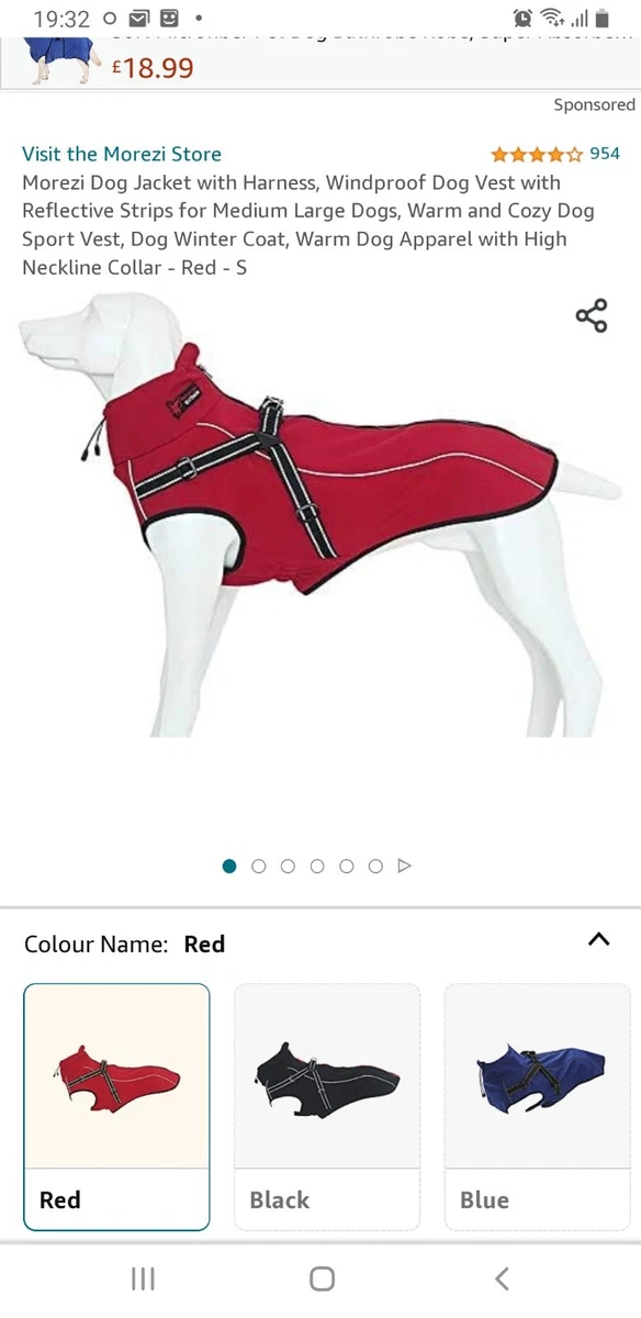 Morezi dog best sale
