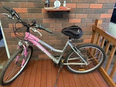 ladies bike gumtree