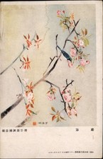 Bird Cherry Blossom Japan vintage postcard d527