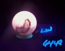 Fluorescent Boquillas Calcite 38mm Sphere - Stunning SW LW Mexican Mineral 6448