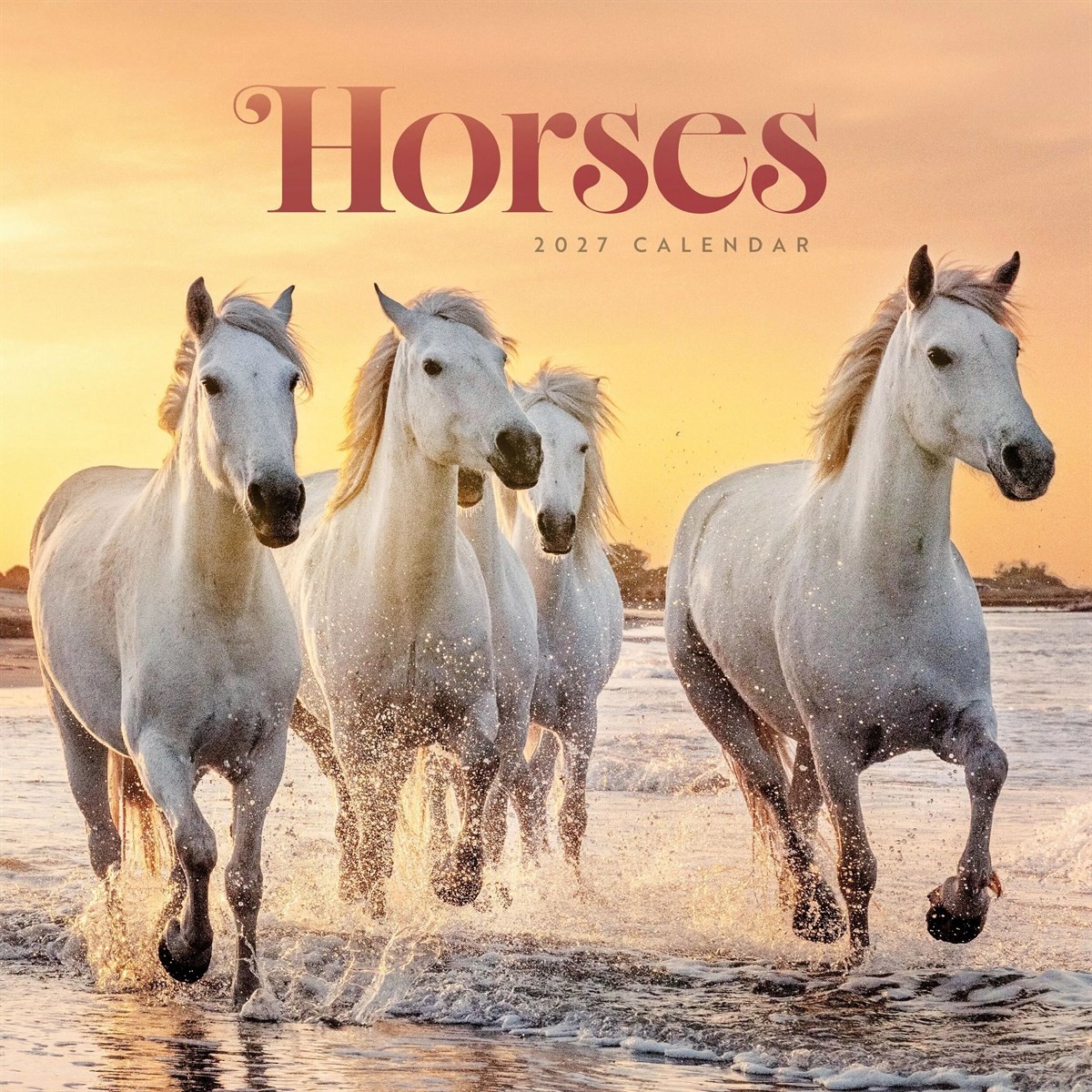 Horses Calendar 2027, Wall Calendars, Month To View, Animals, Gift