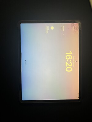 iPad Pro 12,9 Zoll 256GB Cellular (Mit SIM) 2018