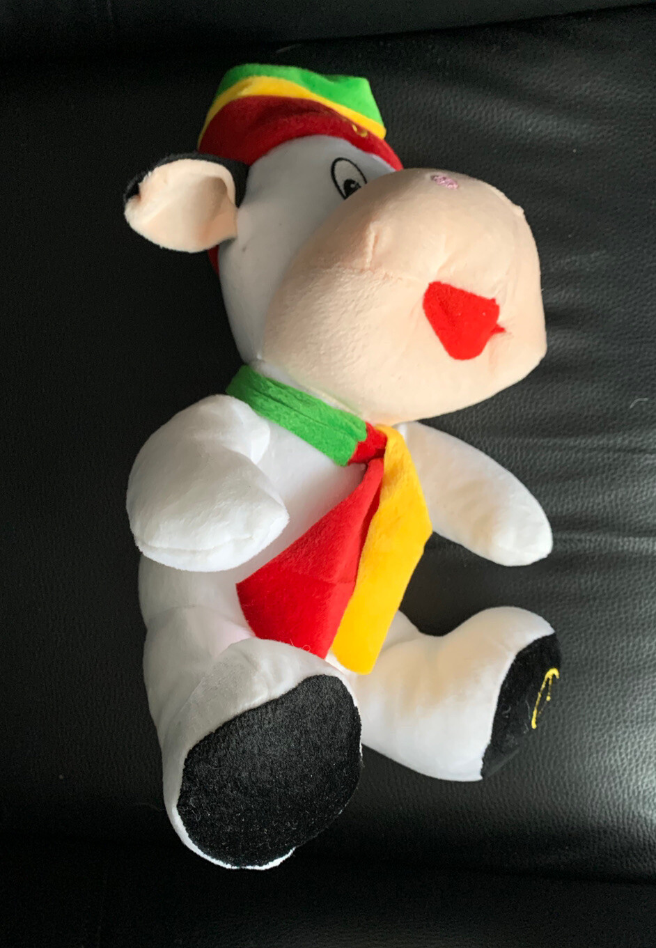 Picture 5 of 10