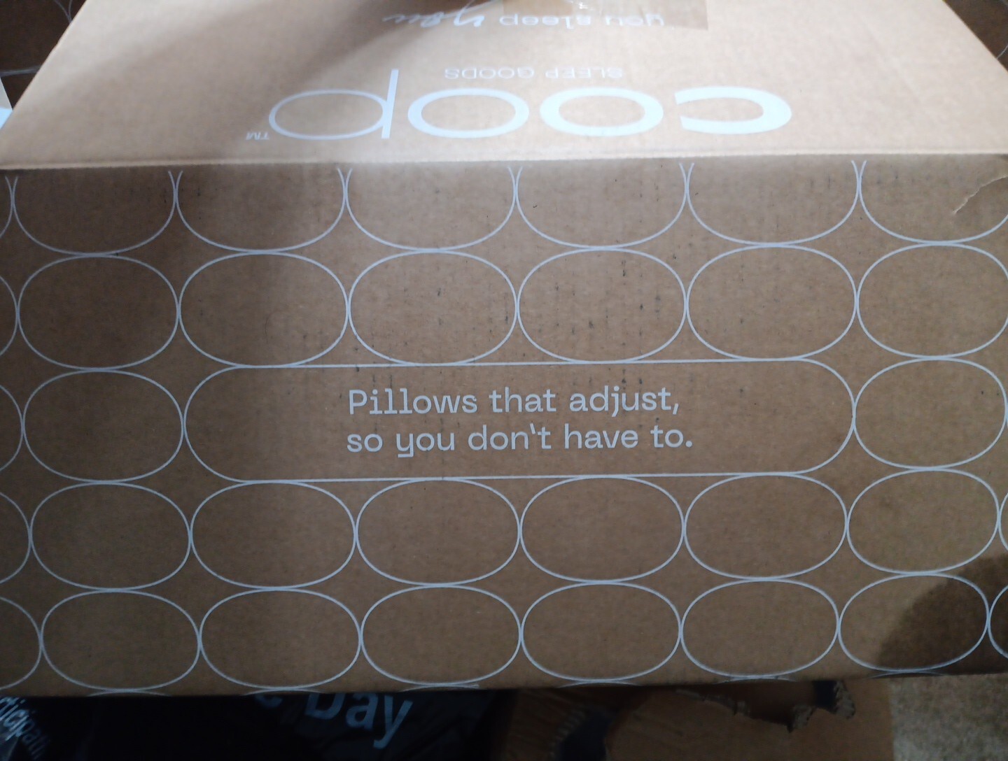 NEW Coop Home Goods Original Loft Pillow King Size Bed Pillow for