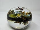 Paul Stankard Unique 2000 Dragonfly, Water Lily & Three Root People Paperweight — photo 6