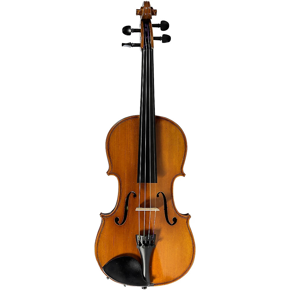 Strobel ML-100 Student Series 18 Size Violin Outfit Dominant 168490₽