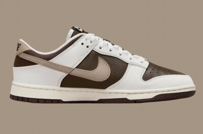 Nike Dunk Low Next Nature Summit White Baroque Brown Khaki HF4292