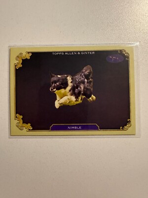 Allen and Ginter 2024 Nimble #SOS-34 Stars of the Show