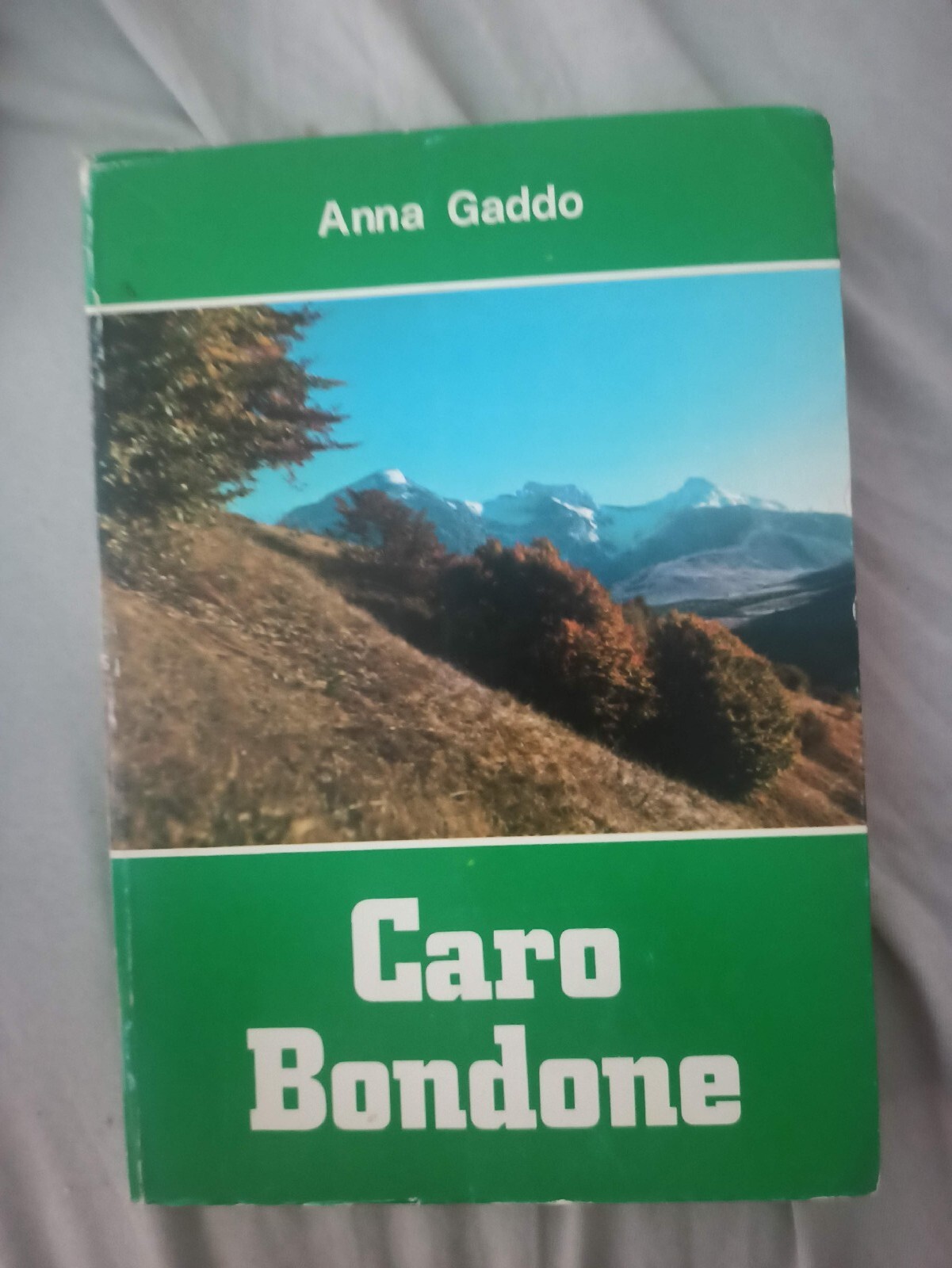 Foto 1 di 1