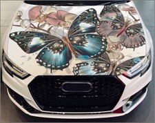 Car Hood Wrap Butterfly Vinyl Sticker Beautiful Nature Full Color Custom Decal