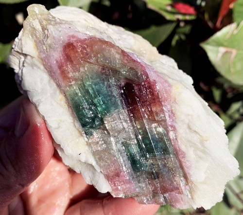 Muestra de piedra áspera cristal turmalina color sandía natural 310 g ip1633 - Imagen 3 de 16