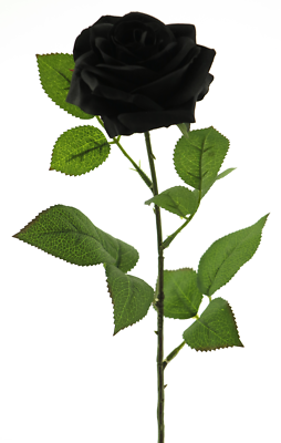 Rose 64cm schwarz Kunstblumen knstliche Blumen Seidenblumen Rosen Rosa  Rosacea | eBay.de