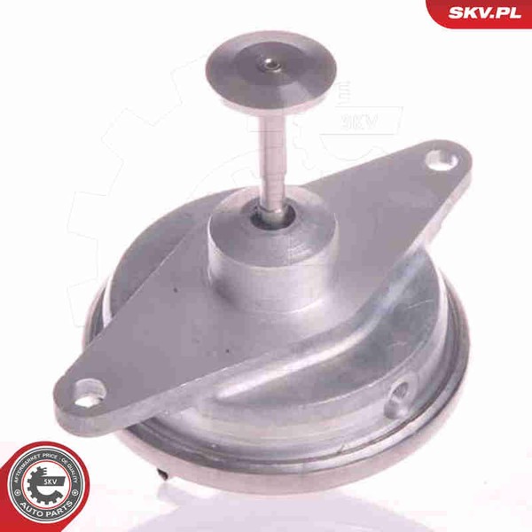 Esen SKV AGR Ventil 14SKV022 FüR Omega CC J96 V94 Vectra Opel Caravan Astra T98-image