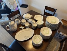 Mitterteich Mystic Rose Porcelain Dinner Set Bavaria Plates Cups Saucers