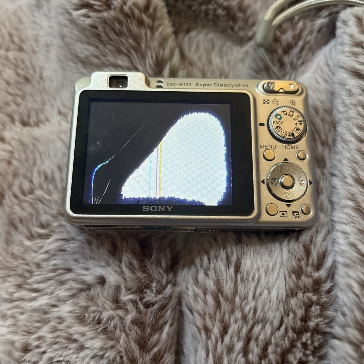 Sony Cyber-shot DSC-W120 Digital Cameras with PictBridge Support