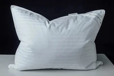 Goose Down Pillows 100% Cotton Standard Size 20x26 inch Soft Supportive
