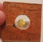 1932 California Gold One Dollar coin Liberty Head territorial pioneer DAMAGED