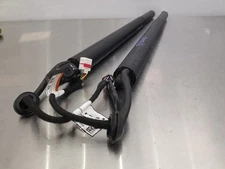 20 2020 HYUNDAI PALISADE SEL LIFT GATE POWER LIFT SHOCKS 81841S8100