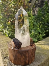 AA Grade light smokey Quartz Freeform On Wood Root Base Point 435g 23cm smoky