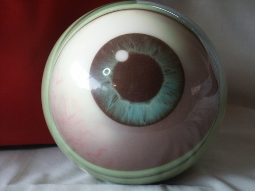 Disney Pixar Monsters Inc Bowling Ball & Bag Brunswick Viz-A-Ball 10lb 5oz Eye - Picture 4 of 11