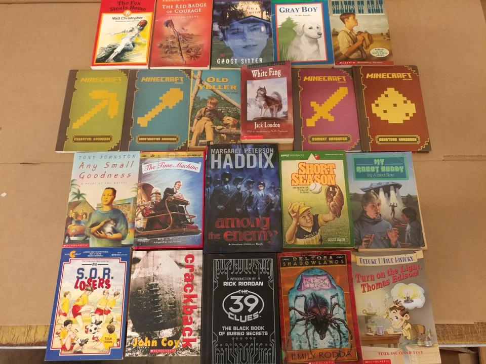 Lot of 20 Chapter Books for BOYS Youth Early Reader Young Adults Children RANDOM Foto 3 de 4