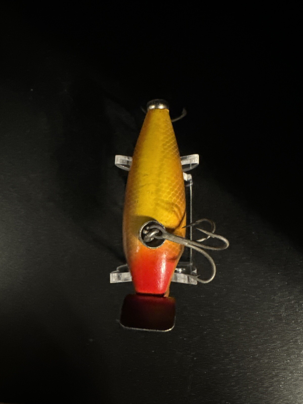 Picture 5 of 5