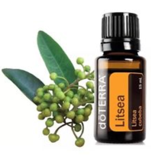 30%OFF doTERRA Litsea 15ml Therapeutic Essential Oil Aromatherapy