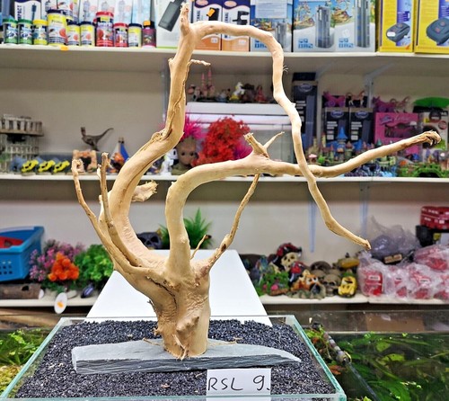 RED MOOR on SLATE wood bogwood driftwood aquariums vivariums REDMOOR - 第 30/33 張圖片