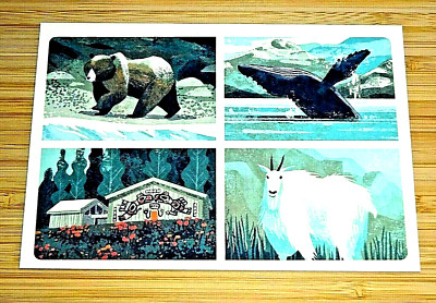 NATIONALPARKS USA: GLACIER BAY, BUCKLERWAL, BERGZIEGE, GLACIER BAY BEAR