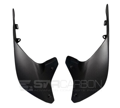 Ducati Streetfighter V4 V4S V2 955 Carbon Fiber REAR SIDES