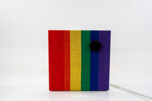 Altavoz Bluetooth VAPPEBY Pride Placa frontal Gen. 3, 20x20 cm Sin mango