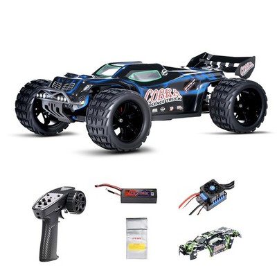 Supersize 1/10 High Speed RC Cars for Adults, 4WD Off-Road Electric Truggy wi...