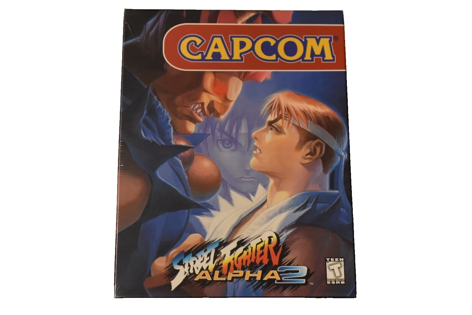 PC Fighting Video Games 1996 Release Year